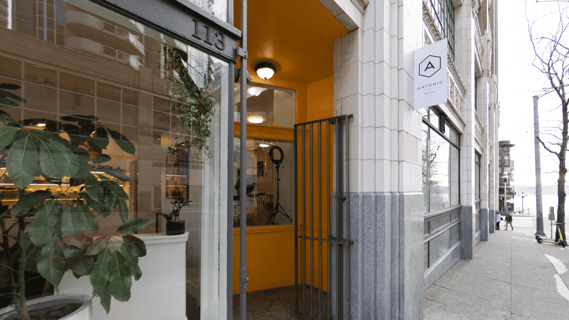 Yellow entryway to a modern shop with large plant and glass exterior.